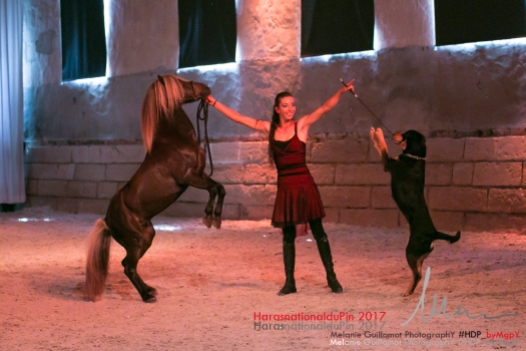 spectacle hdp 2017 72-13818